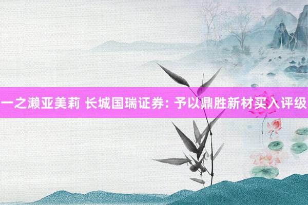 一之濑亚美莉 长城国瑞证券: 予以鼎胜新材买入评级