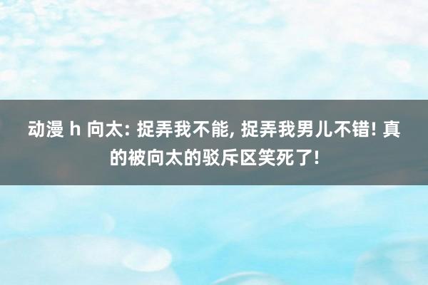 动漫 h 向太: 捉弄我不能， 捉弄我男儿不错! 真的被向太的驳斥区笑死了!