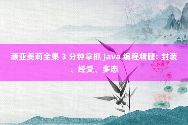 濑亚美莉全集 3 分钟掌抓 Java 编程精髓: 封装、经受