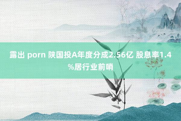 露出 porn 陕国投A年度分成2.56亿 股息率1.4%居行业前哨