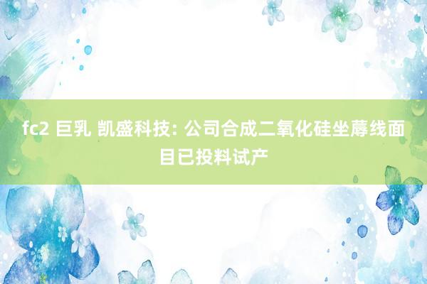 fc2 巨乳 凯盛科技: 公司合成二氧化硅坐蓐线面目已投料试产